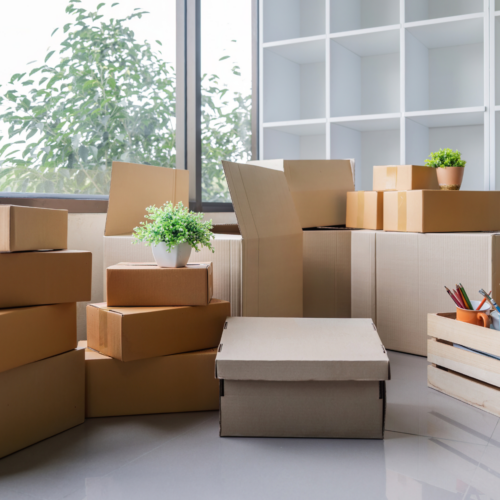 Boxes stacked in a bright room with plants, representing residential move-in or move-out cleaning services by Clean Corps.