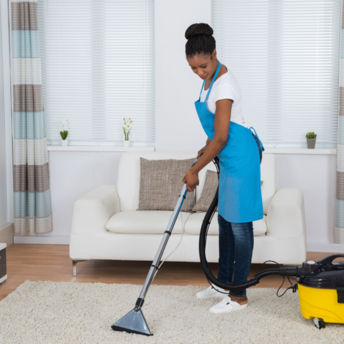 professional cleaning services