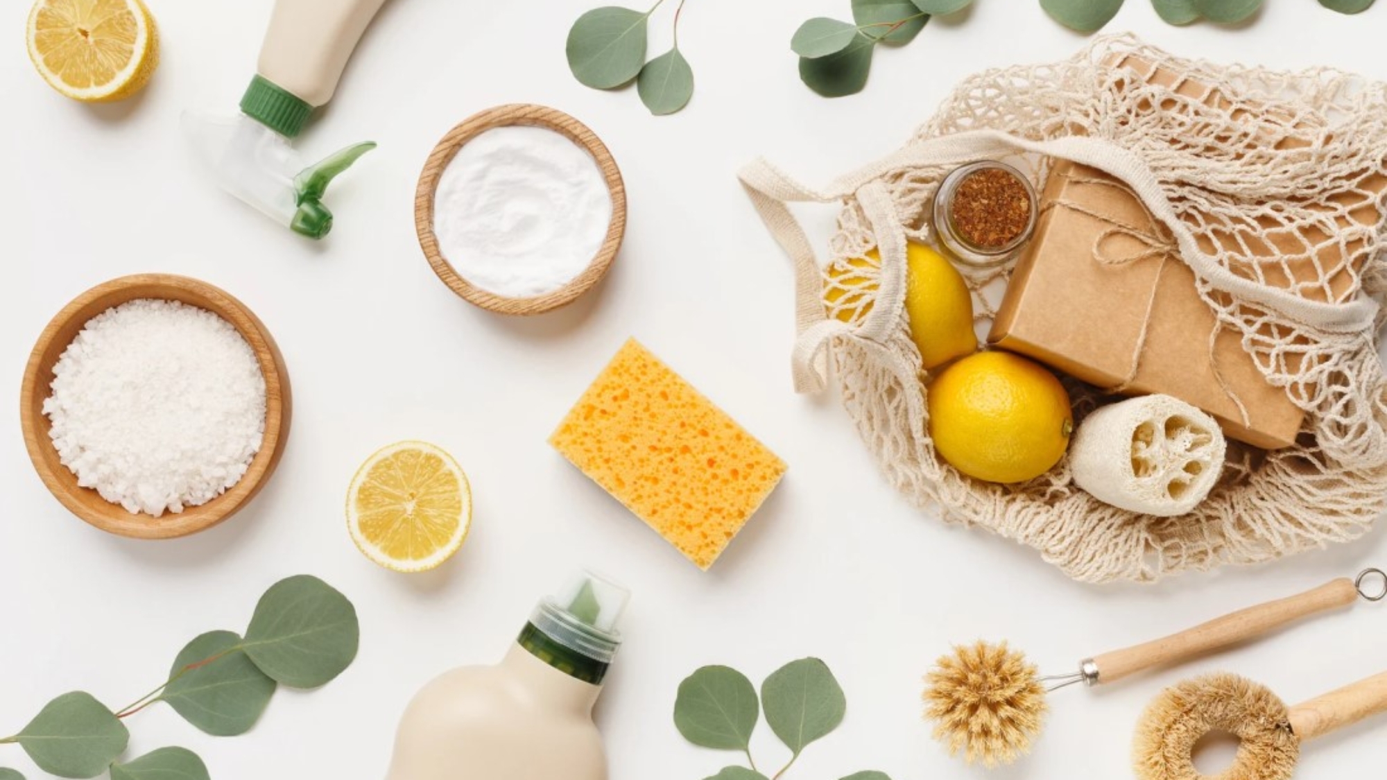 eco-friendly-cleaning-solutions-for-florida-homes