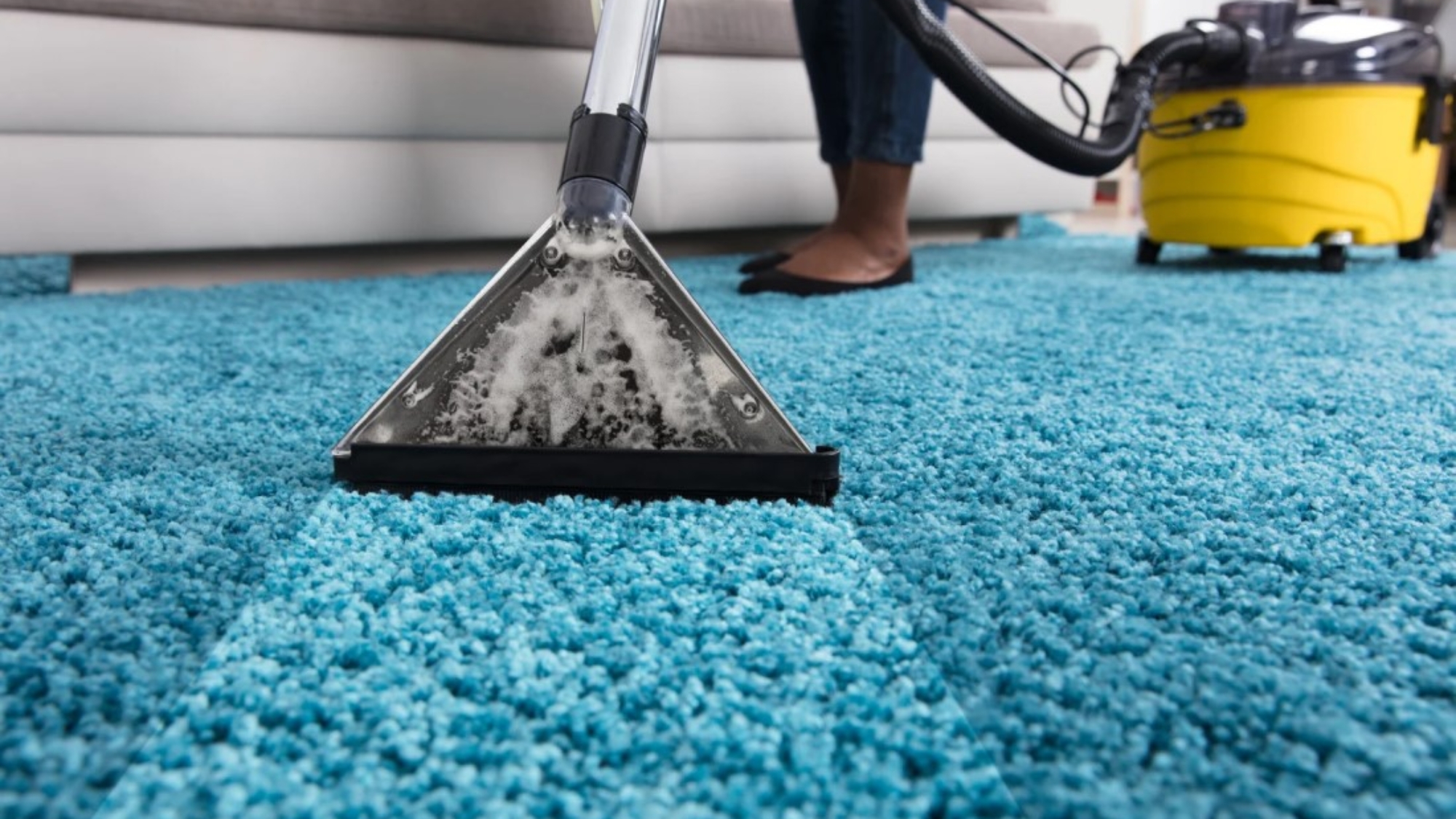 the-best-way-to-clean-and-maintain-carpets-at-home