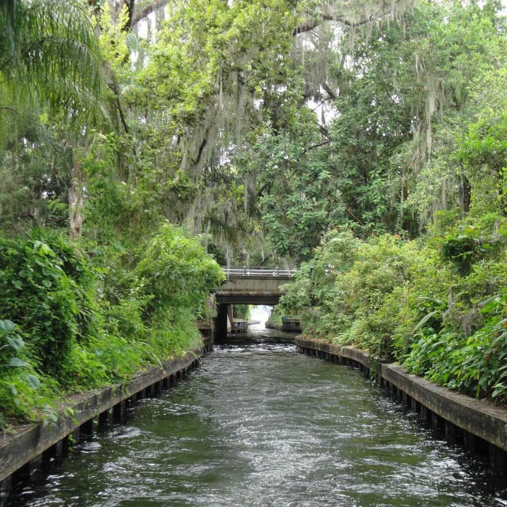 Narrow canal under hanging Spanish moss and lush greenery leading to a small bridge in Winter Park, Florida
