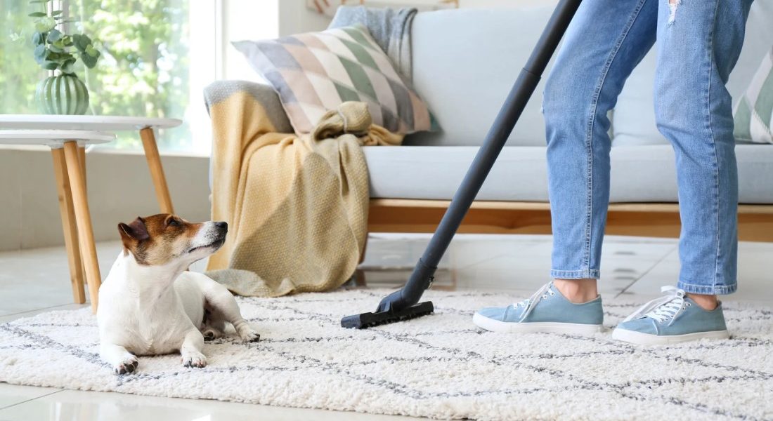 best-way-to-clean-carpet-with-machine